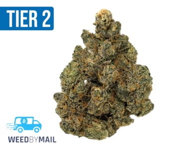 Tier 2 Jelly Donut (32.83% THC)(Hybrid)