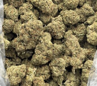 $775 LB Special – Cherry Pie (Hybrid)