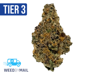 Tier 3 Purple Tangie (28.92% THC) (Sativa)