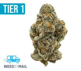 Tier 1 Gelato Cake (36.79% THC)(Hybrid)