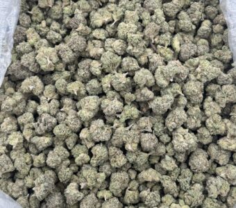 $950 Small Buds Indoor – Donachello (Hybrid)