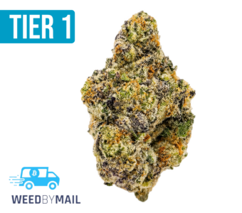 Tier 1 Jungle Juice (36.84% THC)(Hybrid)