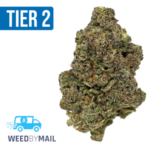 Tier 2 Betty Ford (32.88% THC)(Indica)