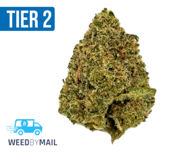 Tier 2 Maui (32.94% THC) (Sativa)