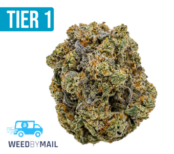 Tier 1 White Durban (36.95% THC)(Sativa)