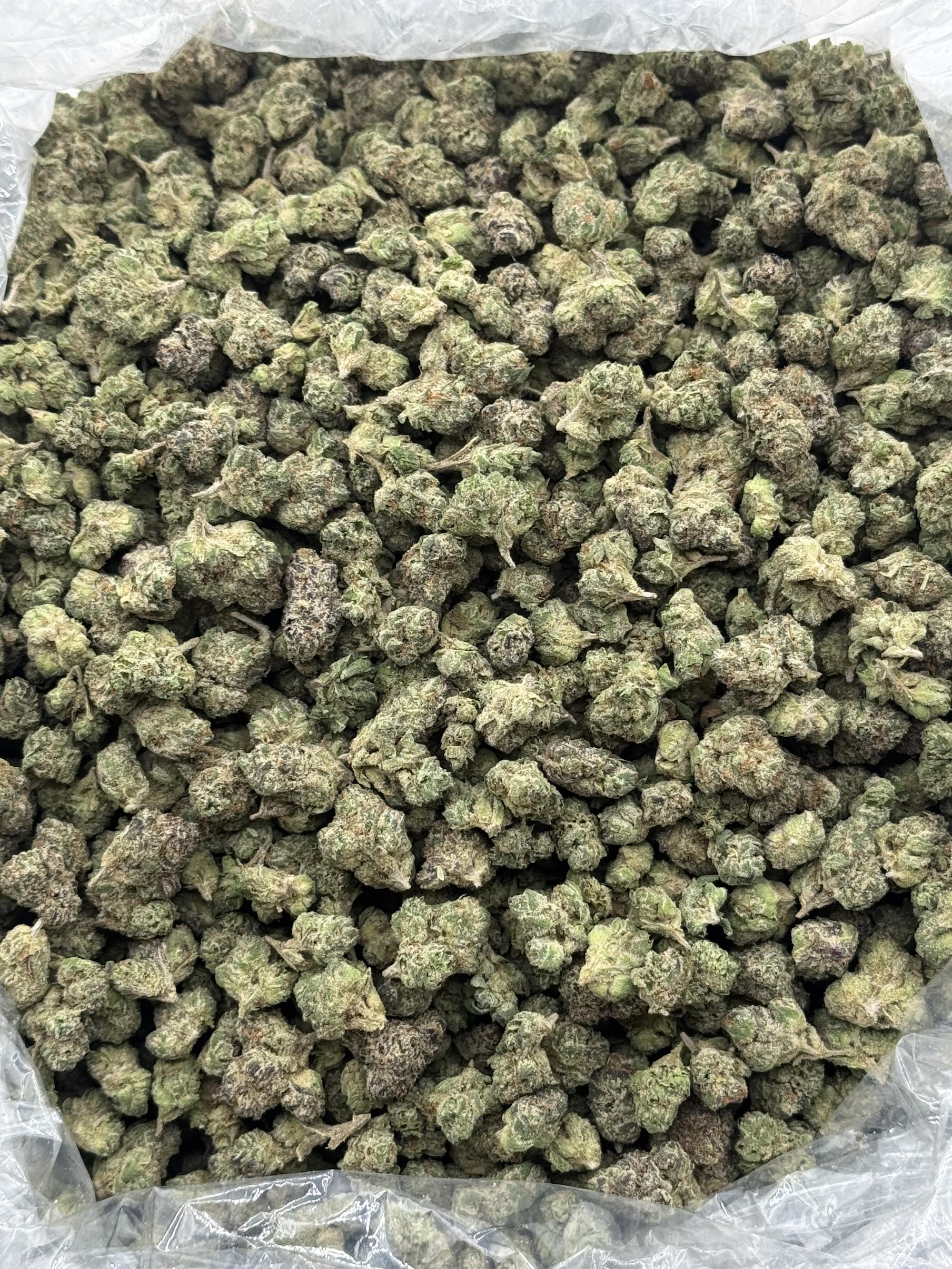$950 Small Buds Indoor - Bubblegum Gelato (Indica/Hybrid)
