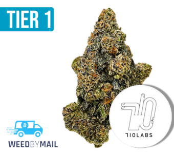 Tier 1 Pinez #16 (36.84% THC)(Hybrid)