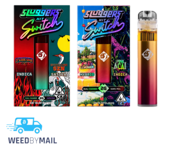 Sluggers Hit – 2G Dual Chamber Disposable Pen (6 Options)