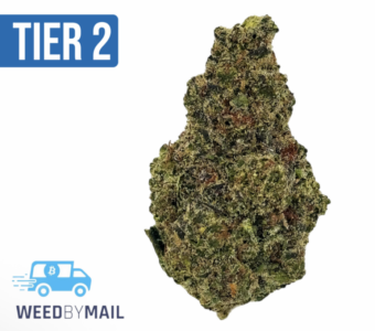 Tier 2 Cookies Haze (32.91% THC) (Sativa)