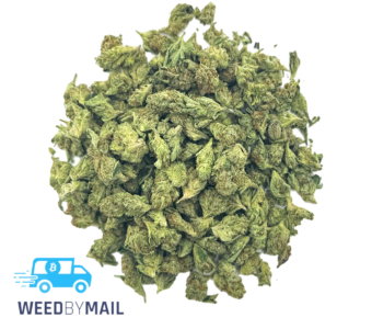 Tier 2 (Small Buds) Lemon Squeeze (31.91% THC)(Sativa)