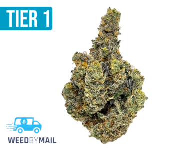 Tier 1 Lemon Zest (36.97% THC)(Sativa)