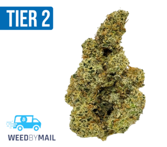 Tier 2 OG Chem (32.87% THC)(Indica)