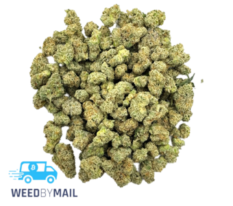 Tier 2 (Small Buds) OG Chem (31.87% THC)(Indica)