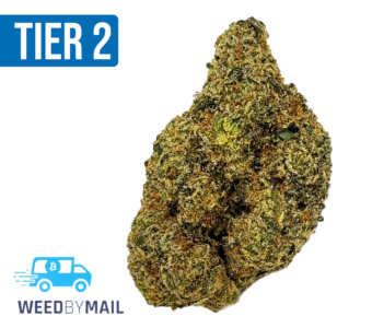 Tier 2 Madzilla (32.85% THC) (Indica)