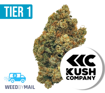 Tier 1 King Mamba OG (35.73% THC)(Indica)
