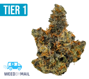 Tier 1 Super Tangie (36.94% THC)(Sativa)