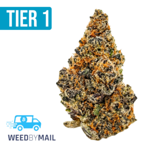 Tier 1 007 (36.92% THC)(Sativa)