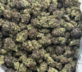 $750 LB Special – Grapefruit Romulan (Hybrid)