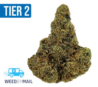 Tier 2 Blue Peach (32.86% THC)(Hybrid)