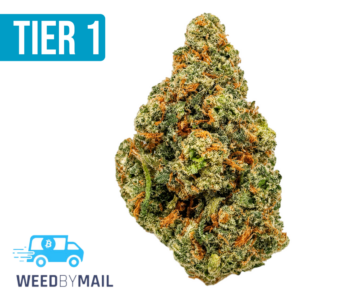 Tier 1 Jack Herer (36.92% THC)(Sativa)