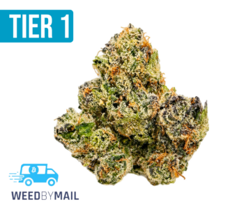 Tier 1 Kobain Kush (35.94% THC)(Indica)