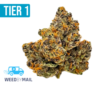 Tier 1 Pineapple Express (36.92% THC)(Hybrid)