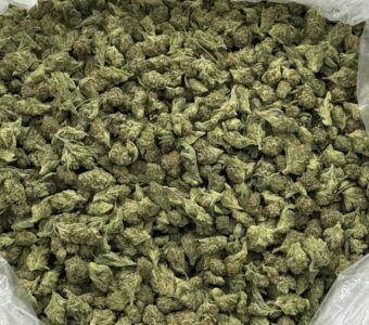 $750 Small Buds Indoor – Lemon Squeeze (Sativa)