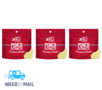 Punch Extracts – 1g BHO Shatter (6 Options)