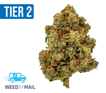 Tier 2 Jacked Up (32.85% THC) (Sativa)