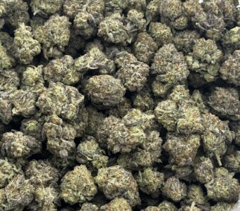 $850 LB Special – Honey Runtz (Hybrid)