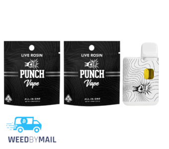 Punch Extracts – 1G Live Rosin Disposable Pen (10 Options)