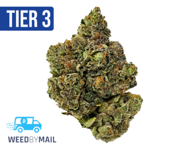 Tier 3 Bombsicle (28.83% THC) (Hybrid)