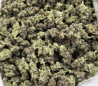 $550 LB Special – Northern Wreck (Indica)