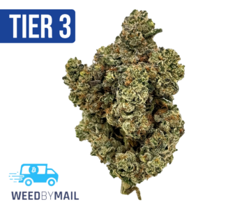 Tier 3 Rigger Kush (28.87% THC) (Indica)