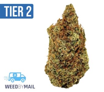 Tier 2 Lemon Fresh (32.87% THC) (Sativa)
