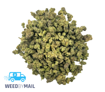Tier 2 (Small Buds) Big Bull (31.92% THC)(Indica)