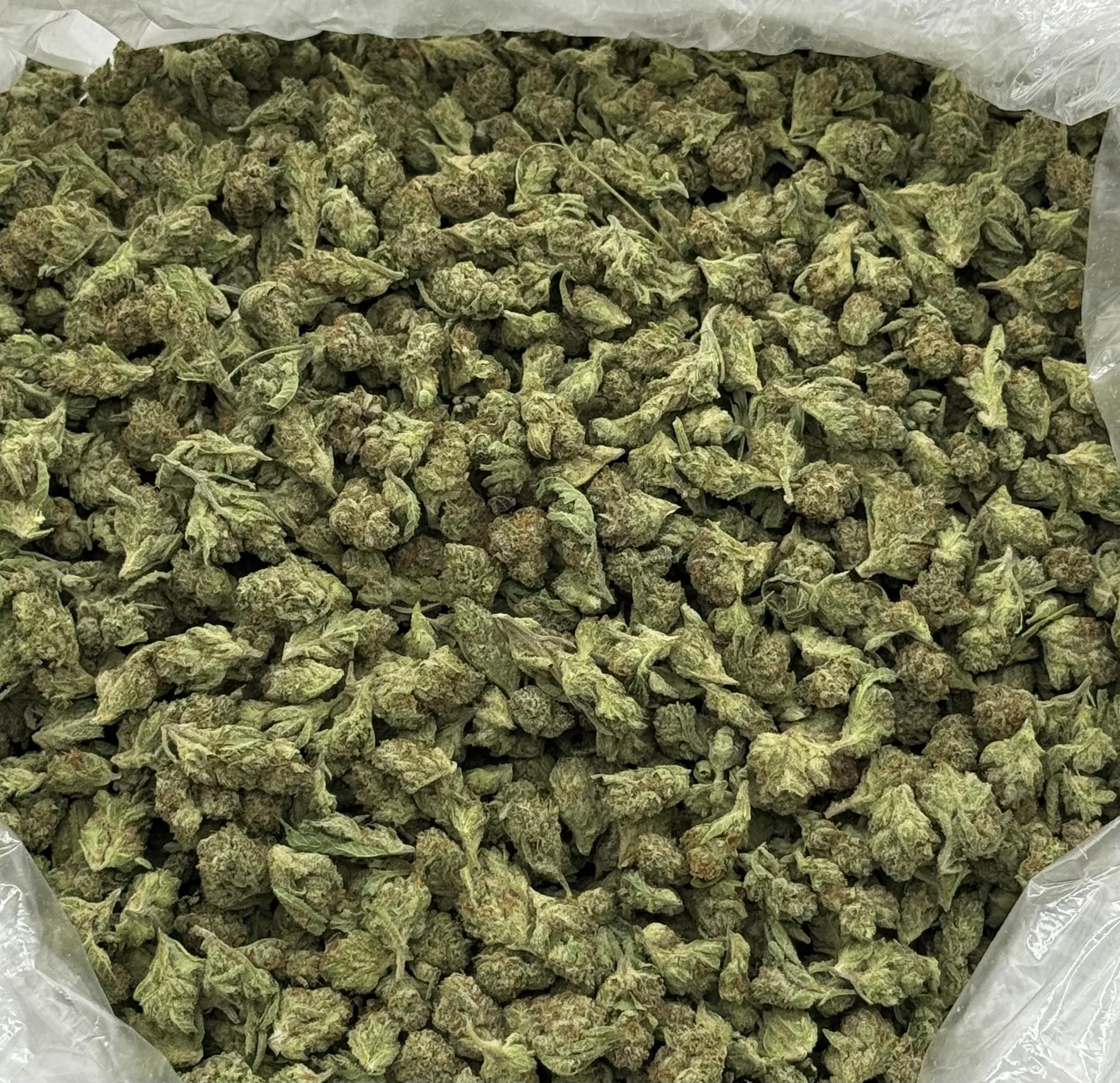 $750 Small Buds Indoor - Lemon Squeeze (Sativa)