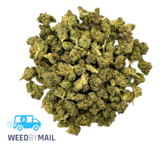 Tier 2 (Small Buds) Tahoe OG (31.75% THC)(Indica)