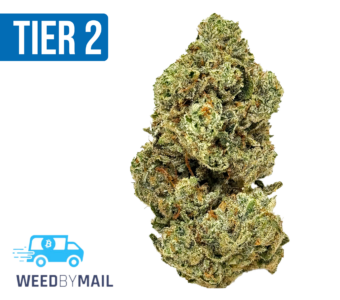 Tier 2 Glue Cookies (32.90% THC)(Hybrid)