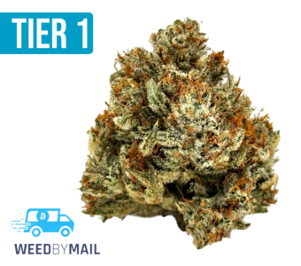 Tier 1 Super Chronic (35.89% THC)(Indica)