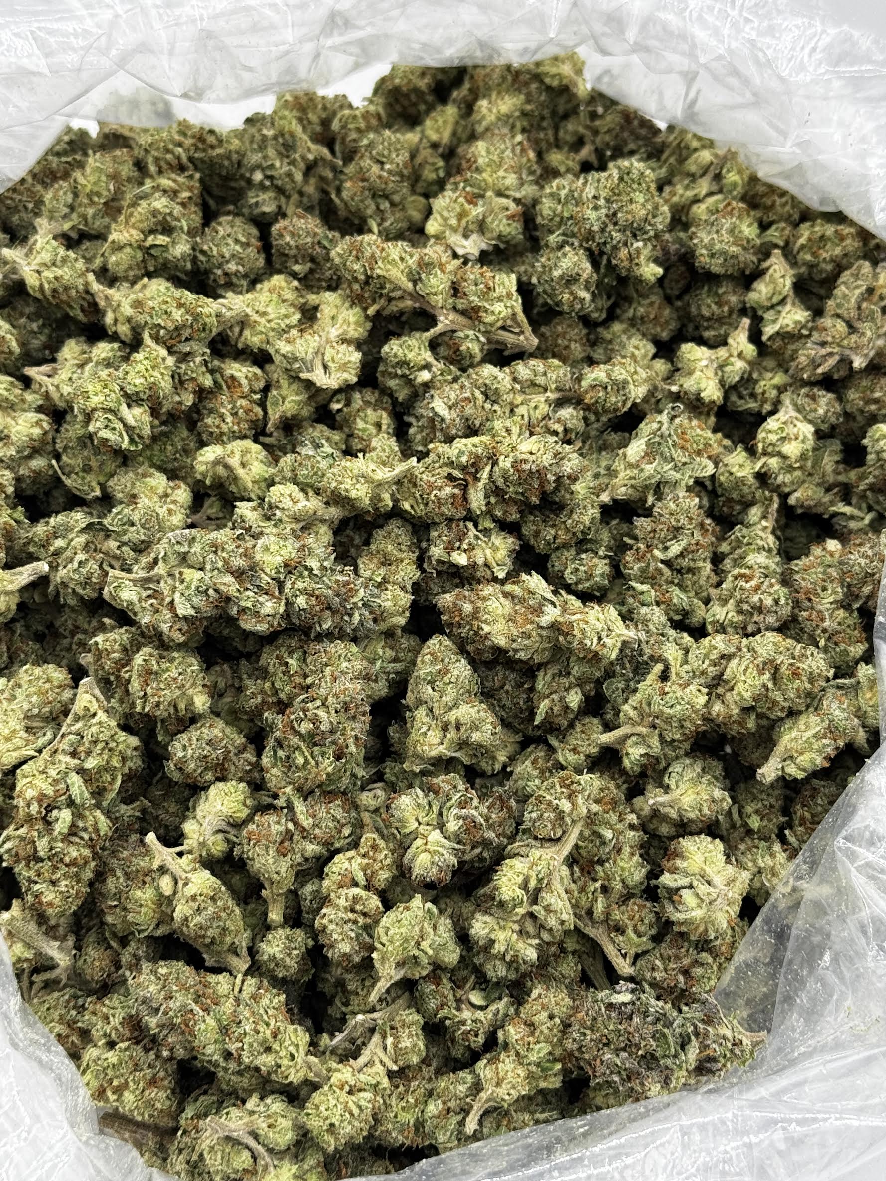 $650 LB Special - Biker Kush (Indica)