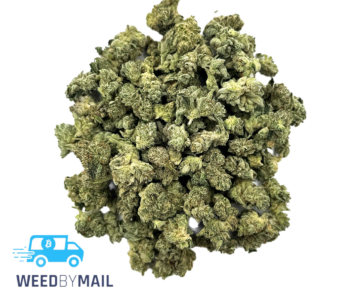 Tier 2 (Small Buds) Gorilla Glue (31.86% THC)(Hybrid)