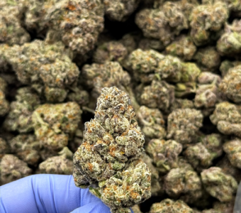 $1500 LB Special – Kool Whip (Indica/Hybrid)