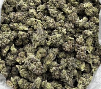 $700 LB Special – Tropical Cake (Hybrid)