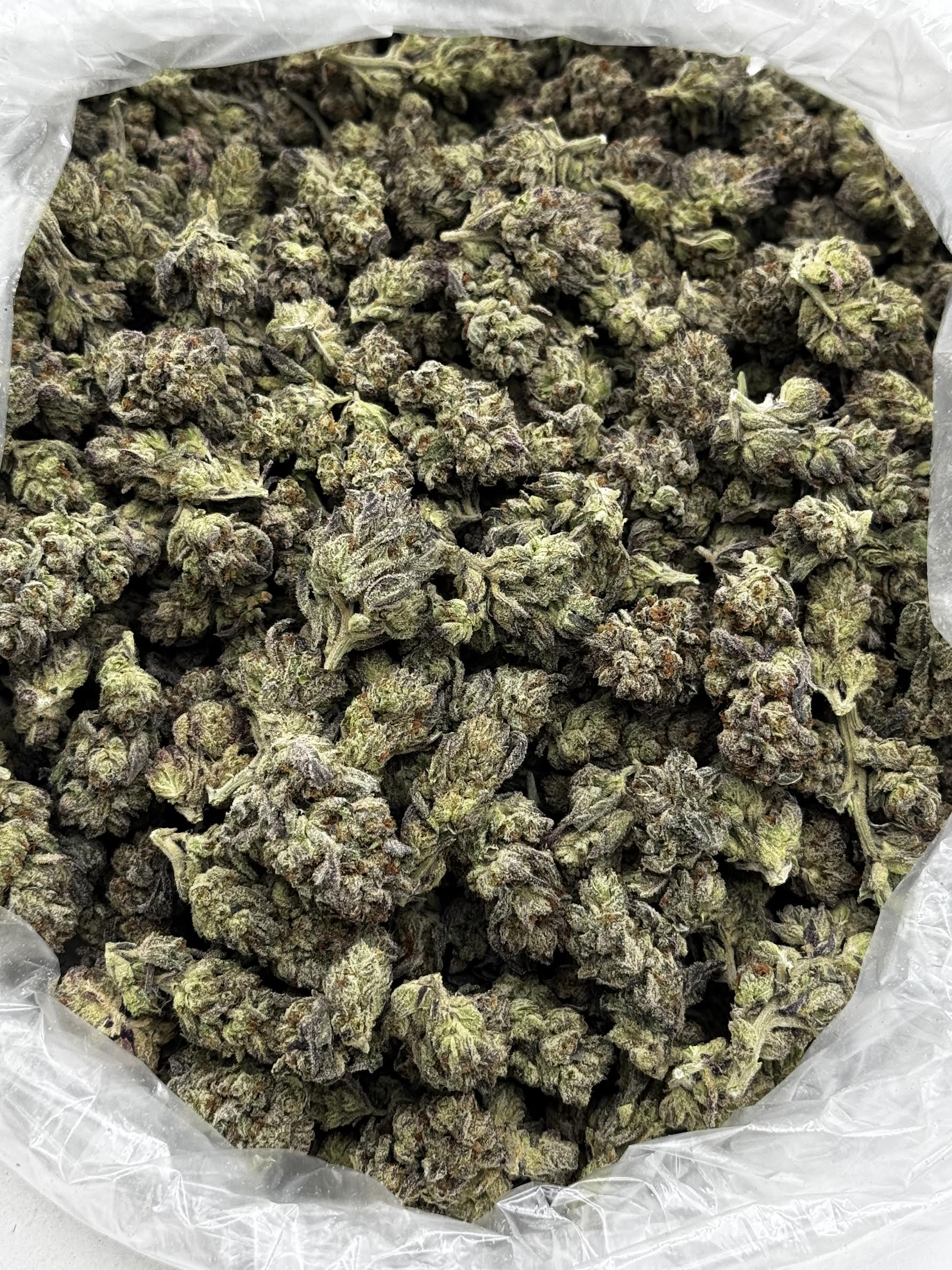 $700 LB Special - Tropical Cake (Hybrid)