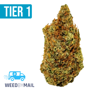 Tier 1 Super Lemon Haze (36.98% THC)(Sativa)