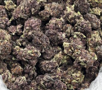$750 LB Special – Purple Razzleberry (Hybrid)