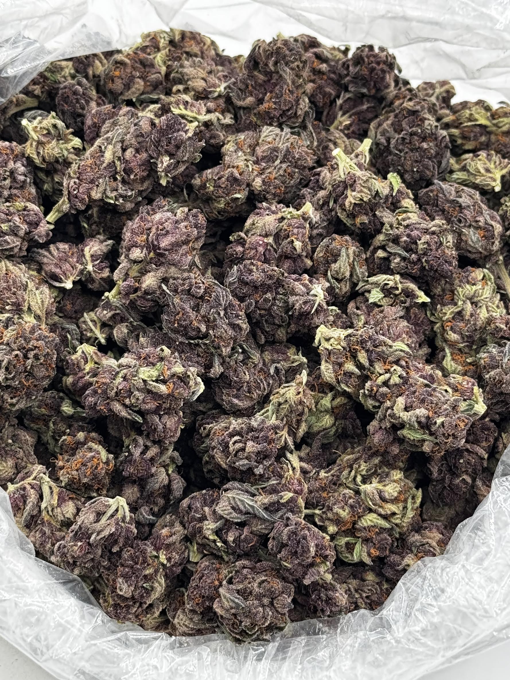 $750 LB Special - Purple Razzleberry (Hybrid)