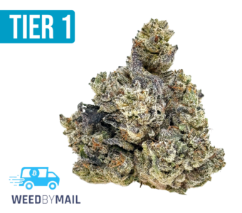 Tier 1 Wedding Wafer (35.81% THC)(Indica)
