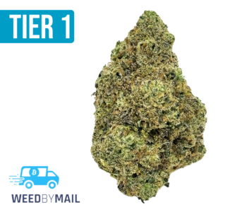 Tier 1 Hash Burger (36.92% THC)(Hybrid)